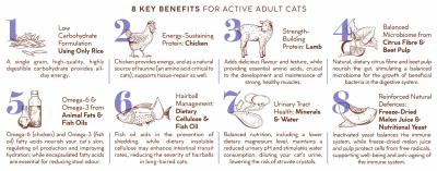 Montego Karoo Cat Chicken & Lamb - 2kg