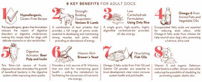 Montego Karoo Adult Venison & Lamb