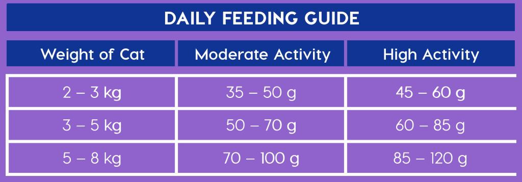 Montego Classic Cat Chicken