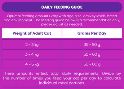 Montego Monty & Me Adult Cat