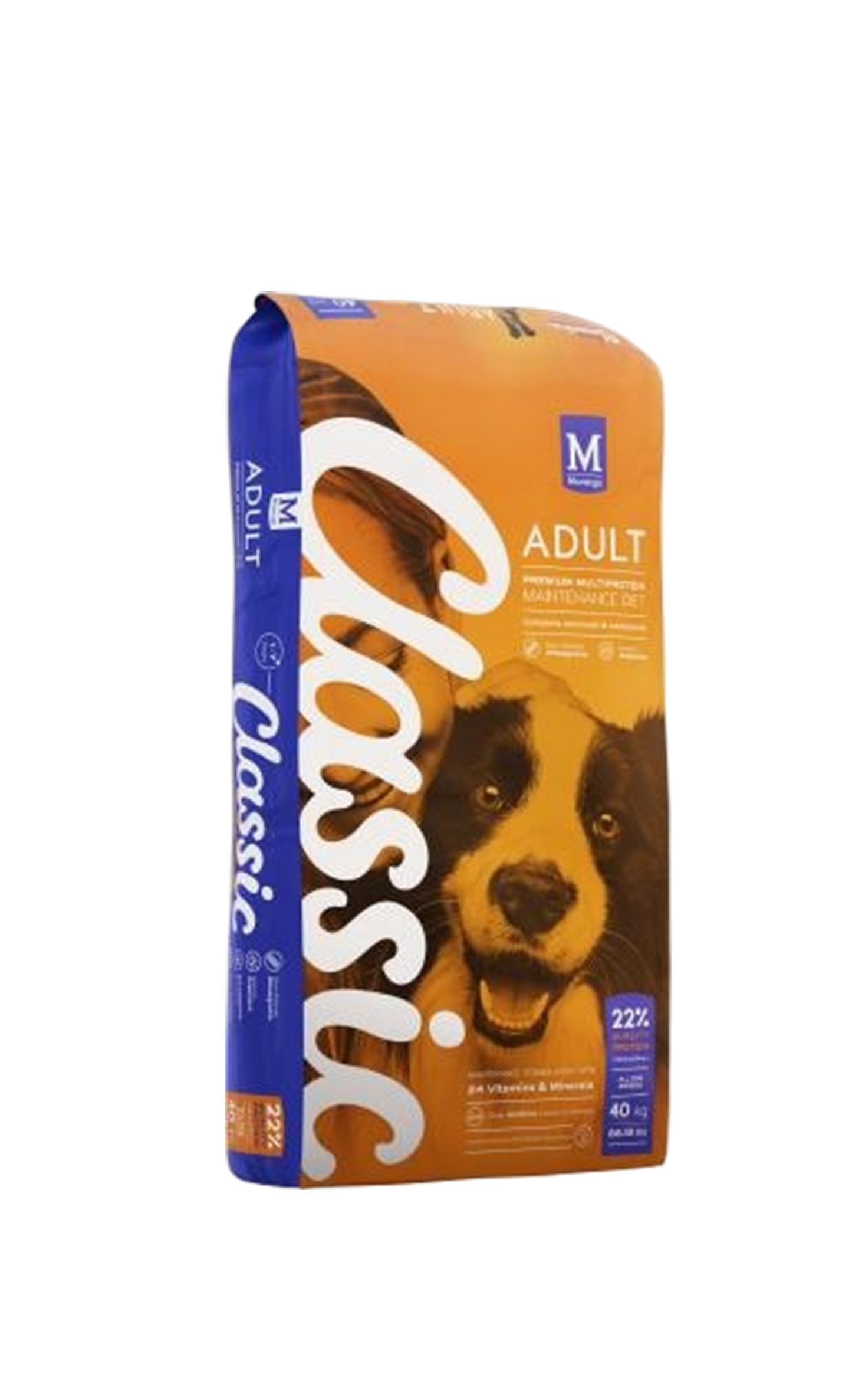 Petchoww-Montego Classic Adult Dog